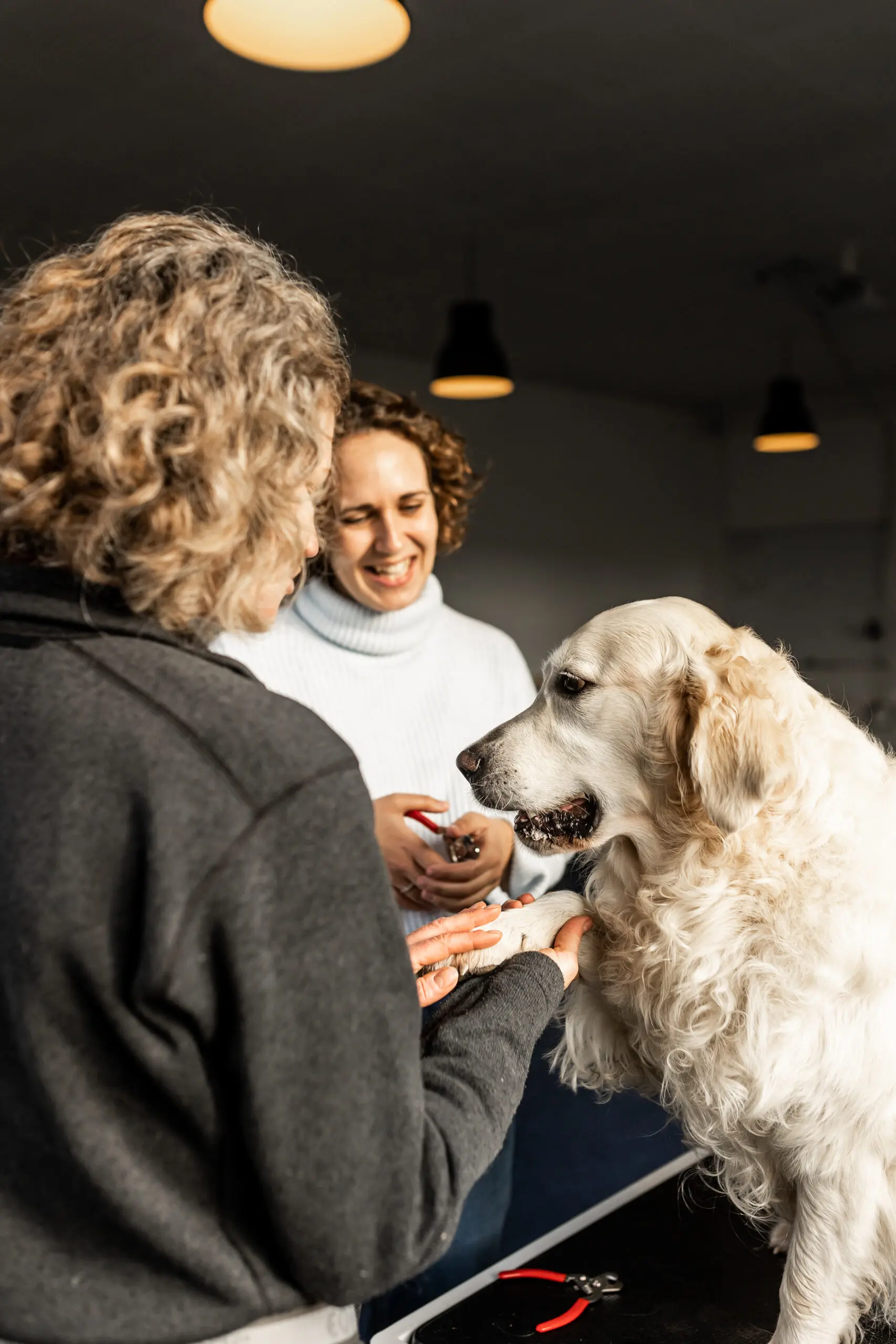 Kopi af Hundevelfaerdscentret-14