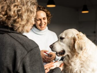 Kopi af Hundevelfaerdscentret-14