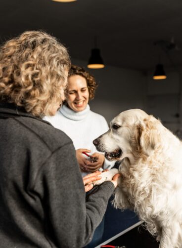 Kopi af Hundevelfaerdscentret-14